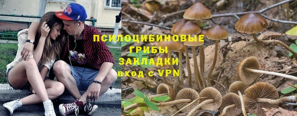 прущая мука Богородск