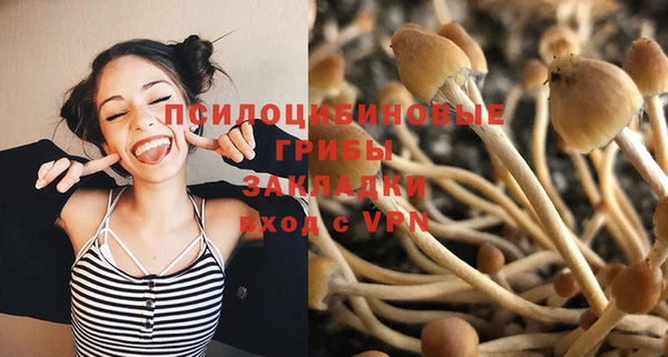гашик Беломорск