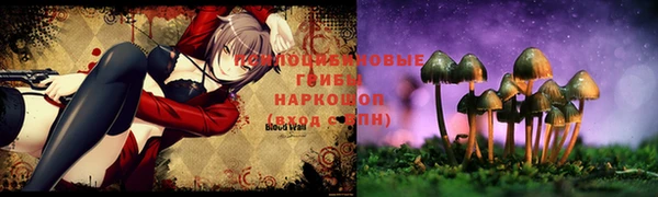 хмурый Богданович
